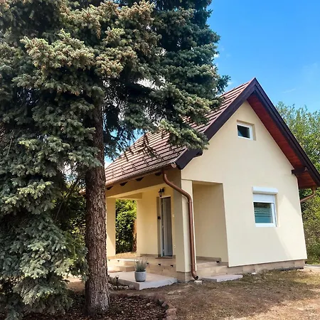 Ezüstfenyő