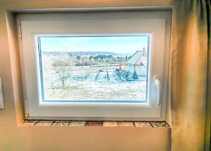 Ezüstfenyő * Balatonalmádi