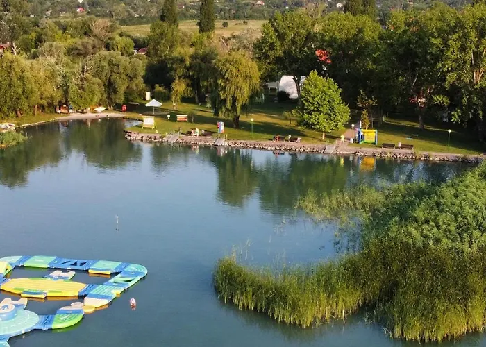 Ezüstfenyő Balatonalmádi